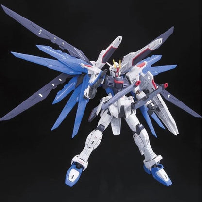 RG 1/144 Freedom Gundam