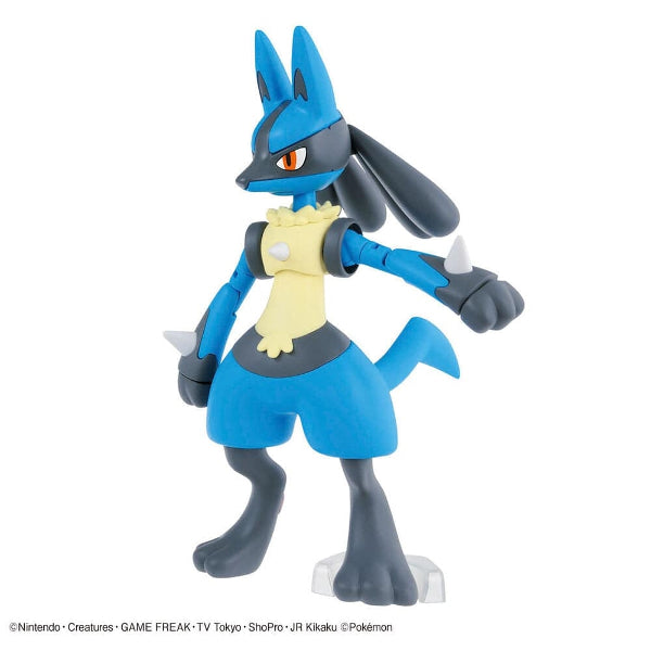 Pokemon Model Kit Riolu And Lucario