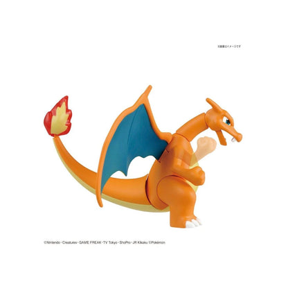 Pokemon Model KIt Charizard and Dragonite