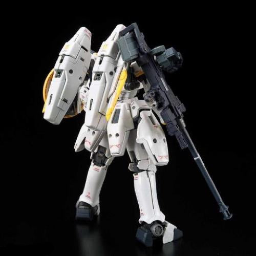 RG 1/144 TALLGEESE EW