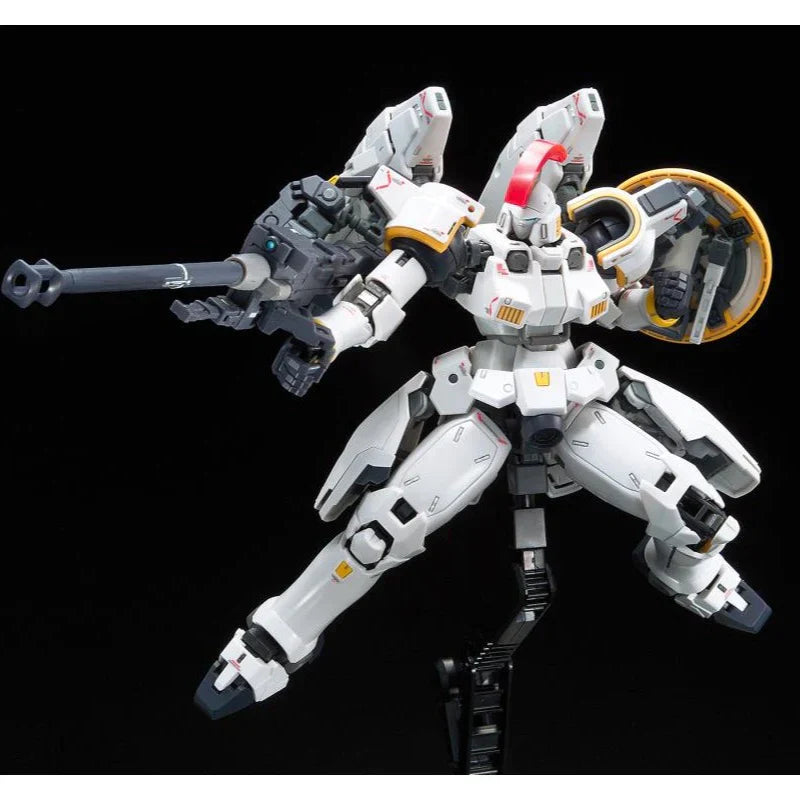 RG 1/144 TALLGEESE EW