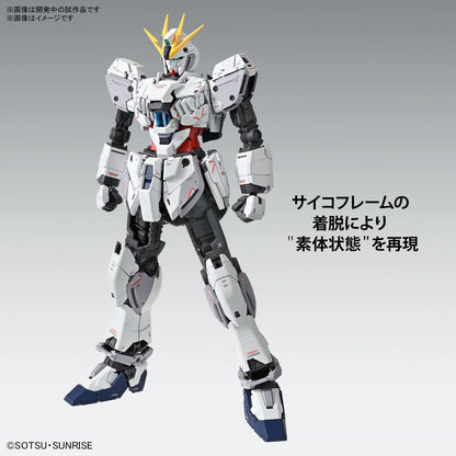 MG 1/100 Narrative Gundam C-Packs Ver.Ka